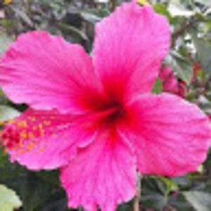 Meet your Posher, Vern